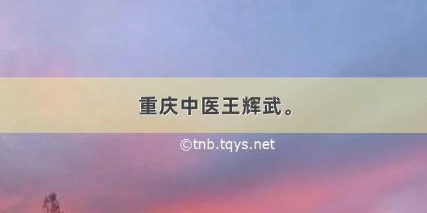 重庆中医王辉武。