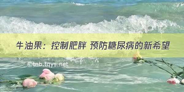 牛油果：控制肥胖 预防糖尿病的新希望