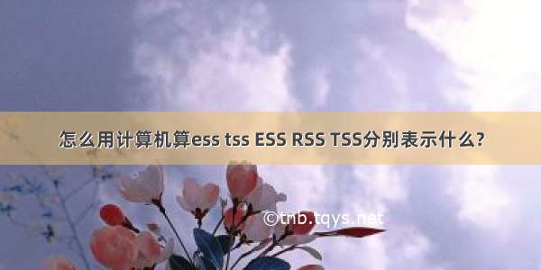 怎么用计算机算ess tss ESS RSS TSS分别表示什么?