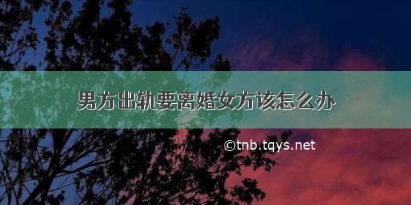 男方出轨要离婚女方该怎么办