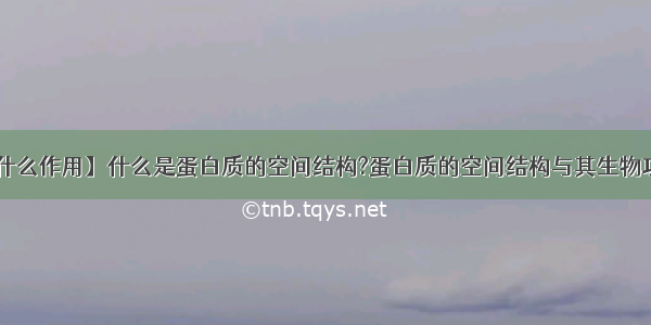 【蛋白质有什么作用】什么是蛋白质的空间结构?蛋白质的空间结构与其生物功能有何关系?