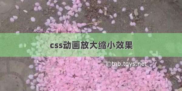 css动画放大缩小效果