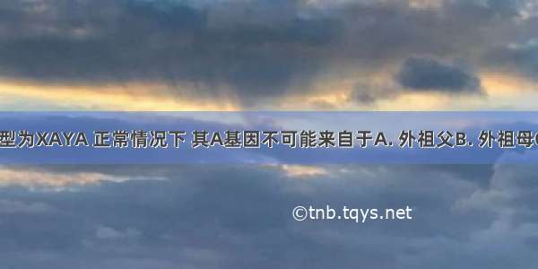 某男孩的基因型为XAYA 正常情况下 其A基因不可能来自于A. 外祖父B. 外祖母C. 祖父D. 祖母