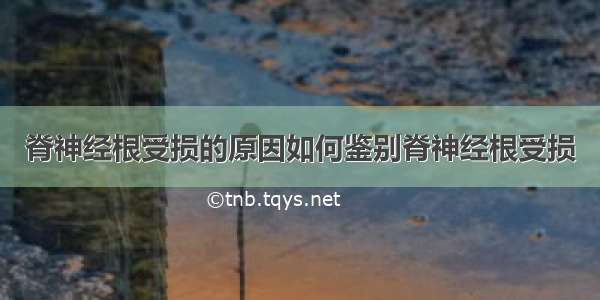 脊神经根受损的原因如何鉴别脊神经根受损