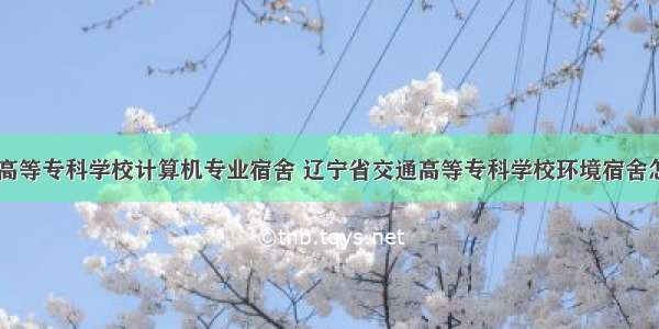 辽宁交通高等专科学校计算机专业宿舍 辽宁省交通高等专科学校环境宿舍怎么样？...