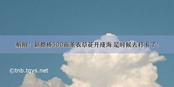 航拍！新都桥500亩薰衣草花开成海 是时候去打卡了！