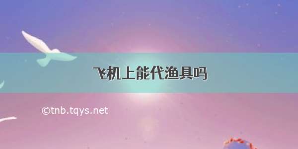 飞机上能代渔具吗