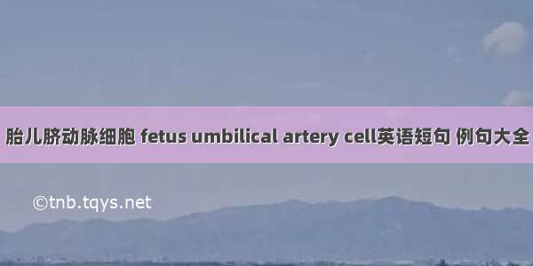 胎儿脐动脉细胞 fetus umbilical artery cell英语短句 例句大全