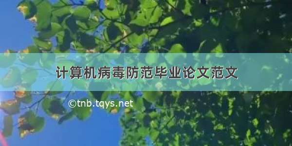 计算机病毒防范毕业论文范文