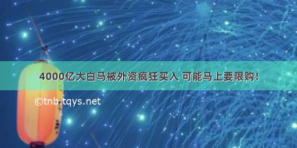 4000亿大白马被外资疯狂买入 可能马上要限购！