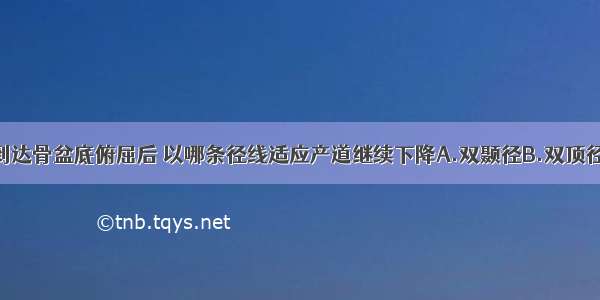 枕前位胎头到达骨盆底俯屈后 以哪条径线适应产道继续下降A.双颞径B.双顶径C.枕下前囟