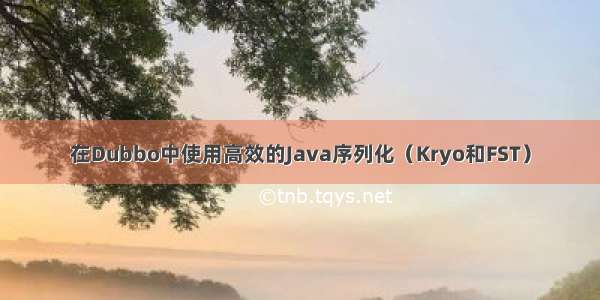 在Dubbo中使用高效的Java序列化（Kryo和FST）