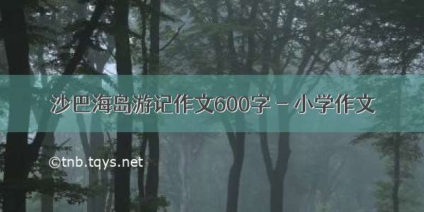 沙巴海岛游记作文600字 - 小学作文