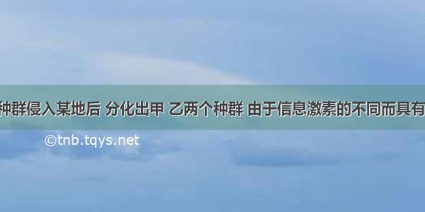 某一昆虫种群侵入某地后 分化出甲 乙两个种群 由于信息激素的不同而具有生殖隔离 