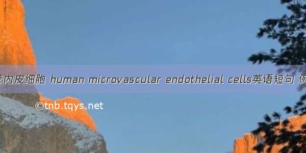 人微血管内皮细胞 human microvascular endothelial cells英语短句 例句大全