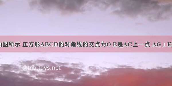 命题：已知如图所示 正方形ABCD的对角线的交点为O E是AC上一点 AG⊥EB 垂足为G A