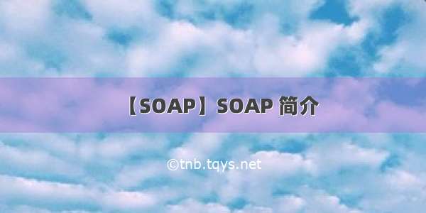 【SOAP】SOAP 简介