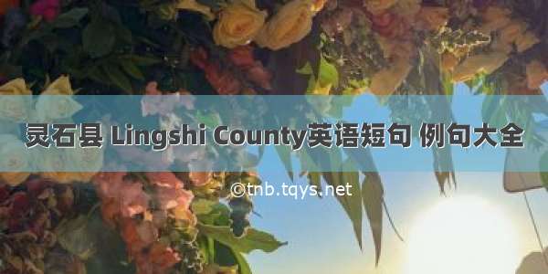 灵石县 Lingshi County英语短句 例句大全