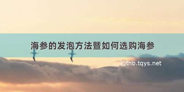 海参的发泡方法暨如何选购海参