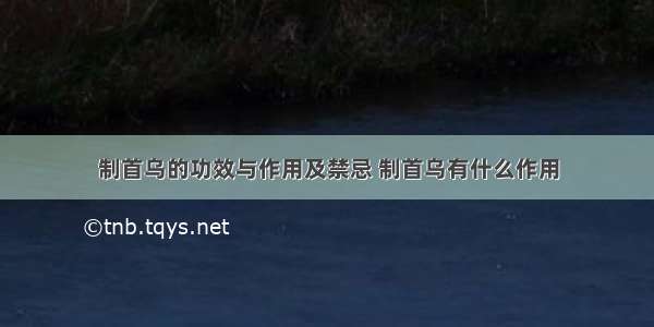 制首乌的功效与作用及禁忌 制首乌有什么作用