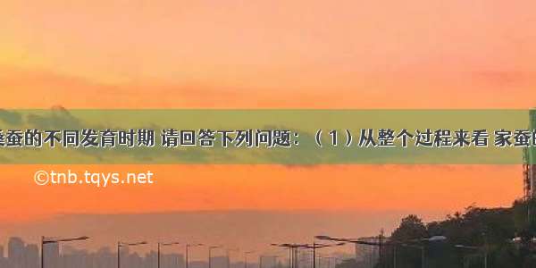 如图所示桑蚕的不同发育时期 请回答下列问题：（1）从整个过程来看 家蚕的个体发育