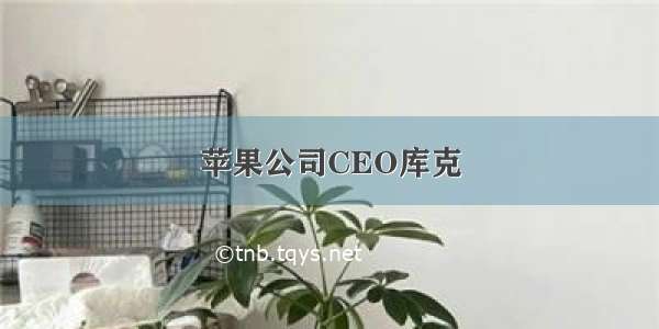 苹果公司CEO库克