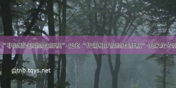 “非酒精性脂肪性肝病”更名“代谢相关脂肪性肝病”的来龙去脉