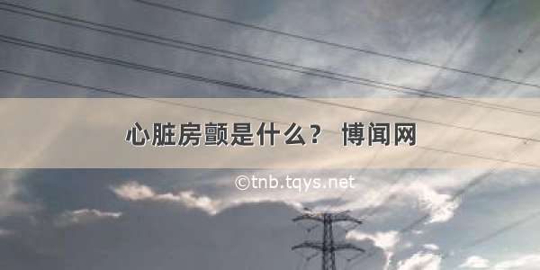 心脏房颤是什么？ 博闻网