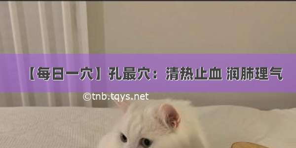 【每日一穴】孔最穴：清热止血 润肺理气