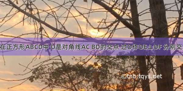 已知 如图 在正方形ABCD中 O是对角线AC BD的交点 过O作OE⊥OF 分别交AB BC于点