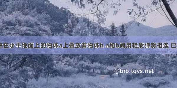 如图所示 放在水平地面上的物体a上叠放着物体b a和b间用轻质弹簧相连 已知弹簧处于