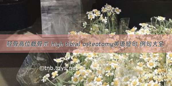 胫骨高位截骨术 high tibial osteotomy英语短句 例句大全