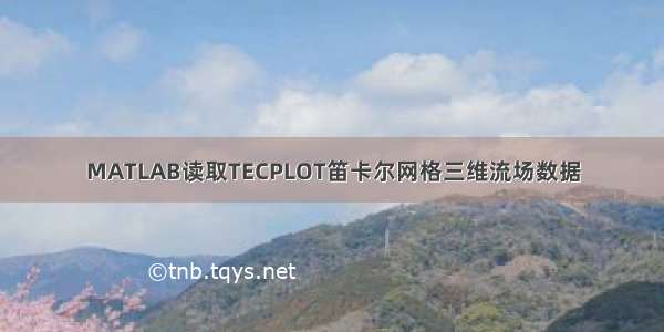 MATLAB读取TECPLOT笛卡尔网格三维流场数据