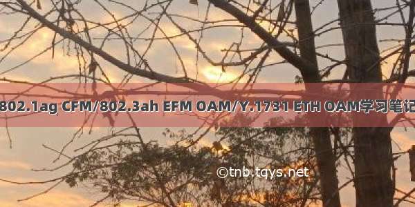 802.1ag CFM/802.3ah EFM OAM/Y.1731 ETH OAM学习笔记