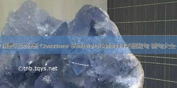 消费行为分析 Consumer Behavioral Analysis英语短句 例句大全