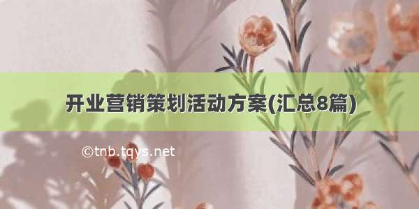 开业营销策划活动方案(汇总8篇)